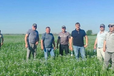 В селе ищут новые пути развития